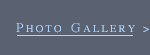 PHOTO GALLERY